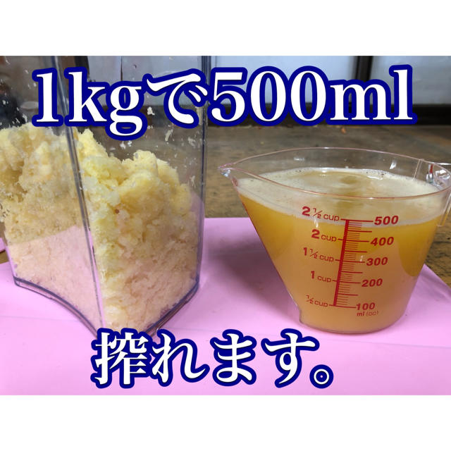 彩りフルーツにんじん。規格外、訳あり5kg。無農薬野菜 食品/飲料/酒の食品(野菜)の商品写真