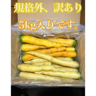 彩りフルーツにんじん。規格外、訳あり5kg。無農薬野菜(野菜)