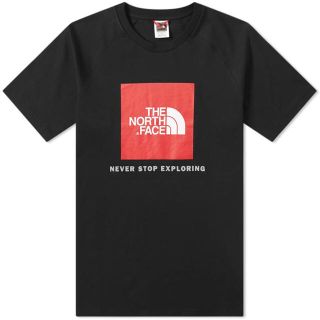 ザノースフェイス(THE NORTH FACE)のノースフェイスTシャツ 日本未発売(Tシャツ/カットソー(半袖/袖なし))