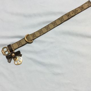 グッチ 犬の通販 33点 | Gucciのその他を買うならラクマ