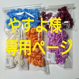 やすよ様専用ページ(ドライフラワー)