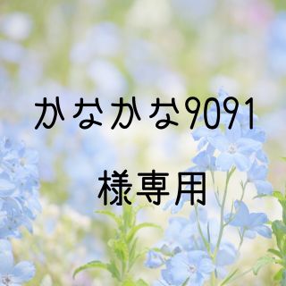 かなかな9091様専用 お米　H30　愛媛県産キヌヒカリ　玄米　30㎏(米/穀物)