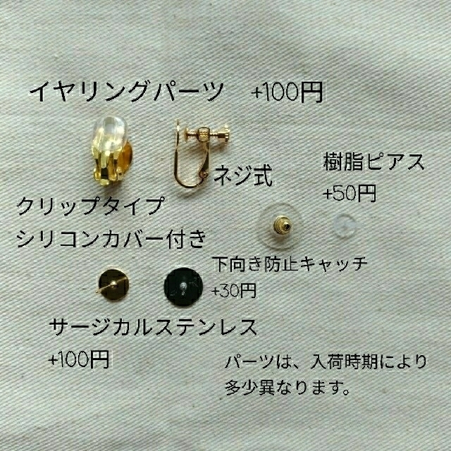 ZARA(ザラ)のラスト♡ミックスカラーつぶつぶビーズ♡ハンドメイドピアス　大ぶり　ナルシス　 ハンドメイドのアクセサリー(ピアス)の商品写真