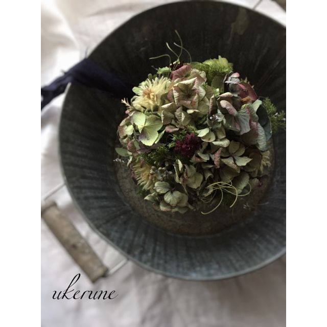 フィリカとグリーンの紫陽花のアンティークなボール フライングリー ドライフラワー フィリカとグリーンの紫陽花のアンティークなボール フライングリー ドライフラワー