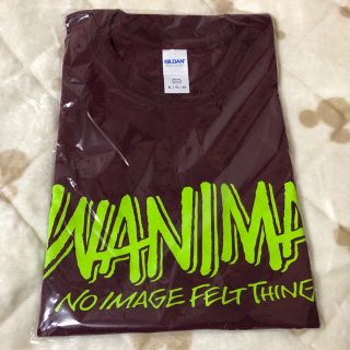 ワニマ(WANIMA)のWANIMA Tシャツ(ミュージシャン)