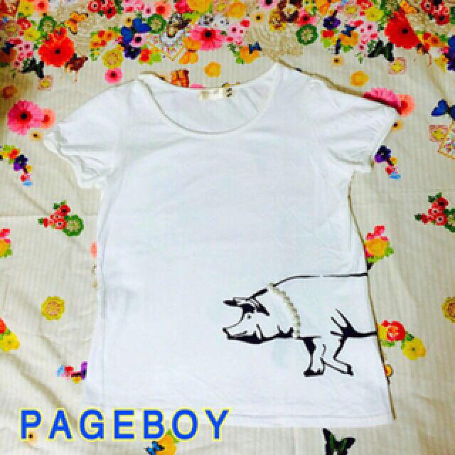 PAGEBOY(ページボーイ)のpage boy ⭐️ブタちゃんTシャツ レディースのトップス(Tシャツ(半袖/袖なし))の商品写真