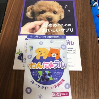 わかさ生活 ペット用品の通販 21点 わかさ生活のその他を買うならラクマ わかさ生活 ペット用品の通販 21点 わかさ生活のその他を買うならラクマ