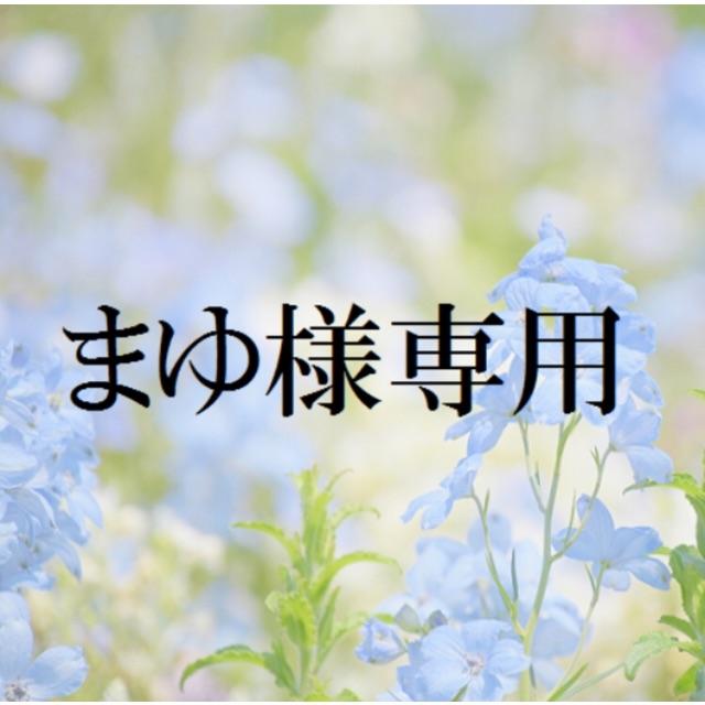 まゆ様専用 お米 H30 愛媛県産キヌヒカリ 白米 120㎏ 米/穀物