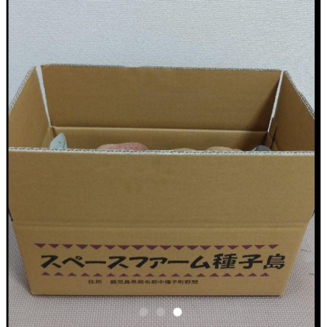 訳あり安納芋　6キロ　送料無料　種子島産　完熟　さつまいも 食品/飲料/酒の食品(野菜)の商品写真