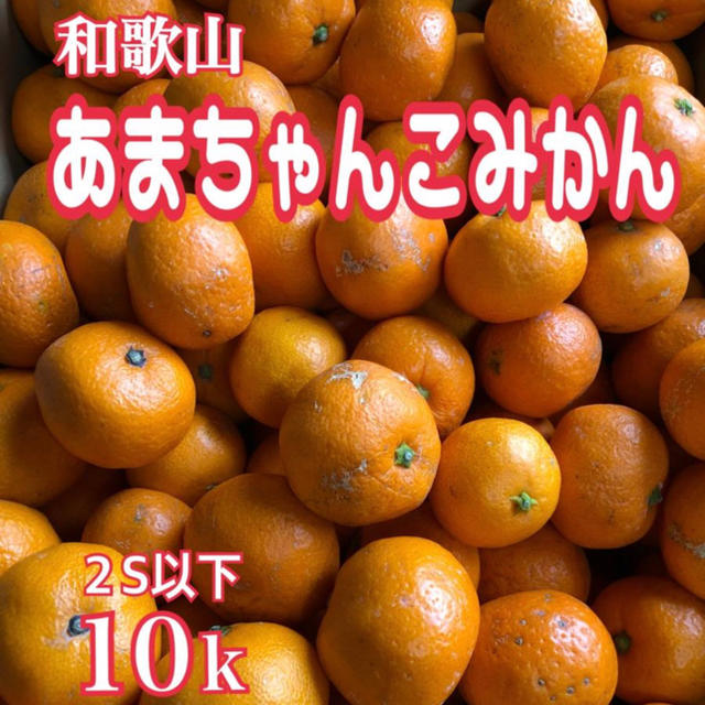 あまちゃんこみかん 10キロ 送料無料 食品/飲料/酒の食品(フルーツ)の商品写真