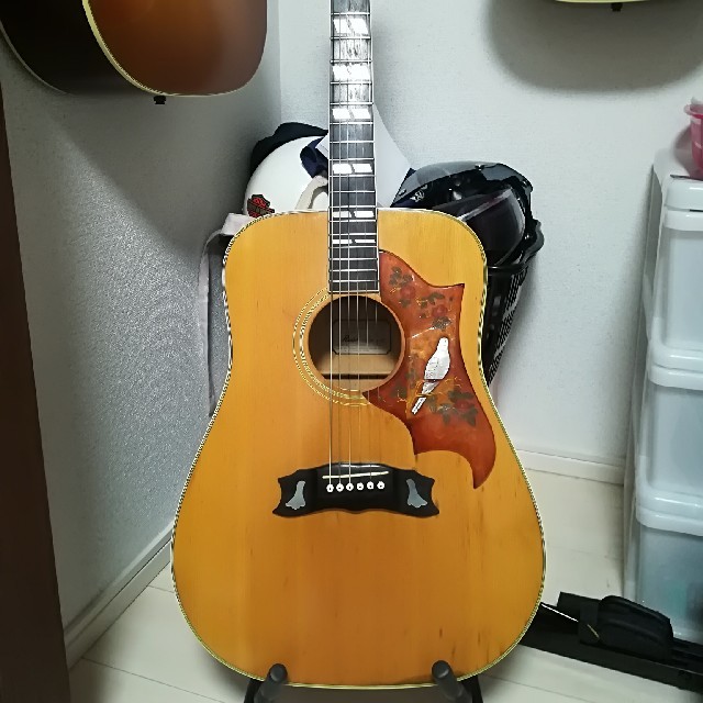 Gibson(ギブソン)のRider  J-300DN ジャパンヴィンテージ 楽器のギター(アコースティックギター)の商品写真