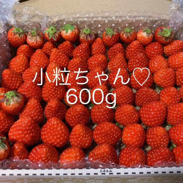 小粒ちゃん♡さがほのか苺600g●いちご イチゴ 食品/飲料/酒の食品(フルーツ)の商品写真
