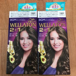 ウエラ(WELLA)の２個セットWELLATONツープラスワン 白髪染め マットブラウン(白髪染め)