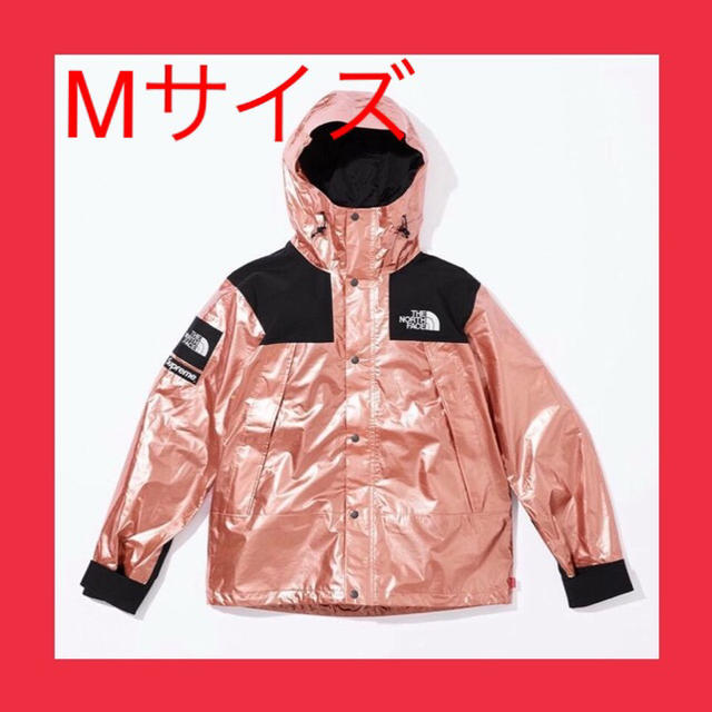 Supreme tnf metallic mountain parka