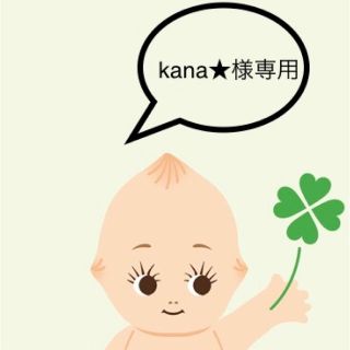 スーパーハッカ(SUPER HAKKA)のkana★様専用 SUPER HAKKA リュック(リュック/バックパック)