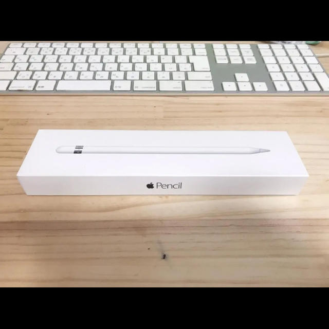 【純正】 Apple Pencil　アップル ペンシル　MK0C2J/A