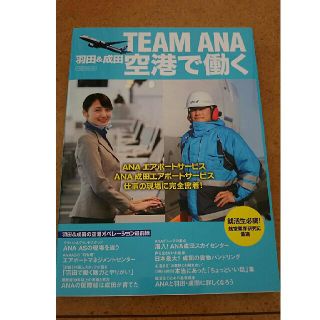 エーエヌエー(ゼンニッポンクウユ)(ANA(全日本空輸))のTEAM ANA 羽田&成田 空港で働く(趣味/スポーツ/実用)