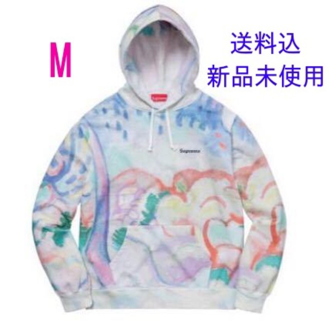 supreme landscape hooded sweatshirt