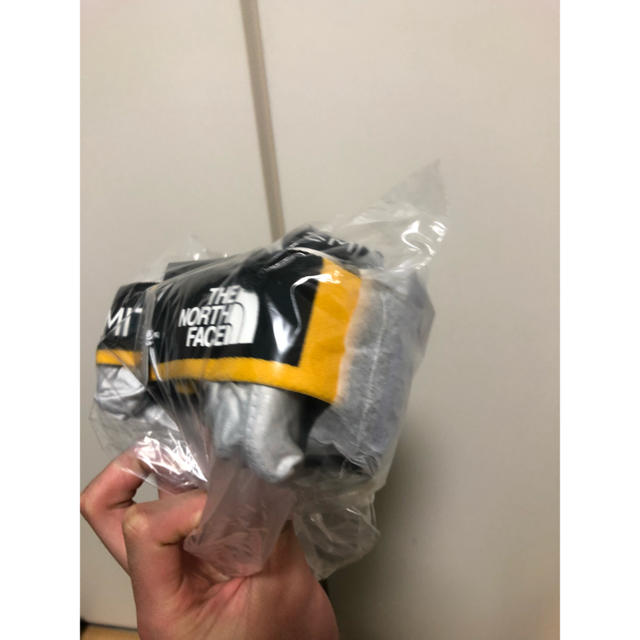 THE NORTH FACE(ザノースフェイス)のSmith north faceコラボゴーグル スポーツ/アウトドアのスキー(その他)の商品写真