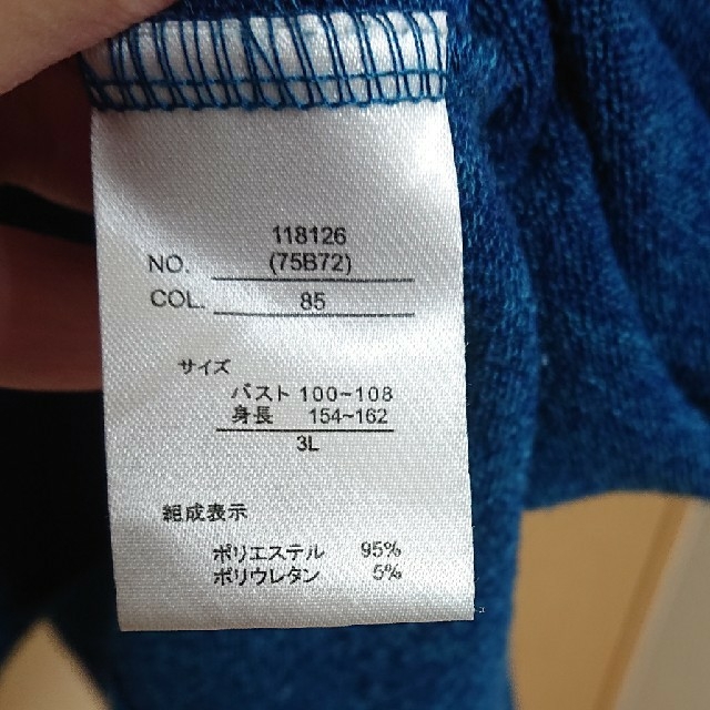 3L  長袖カットソー レディースのトップス(カットソー(長袖/七分))の商品写真