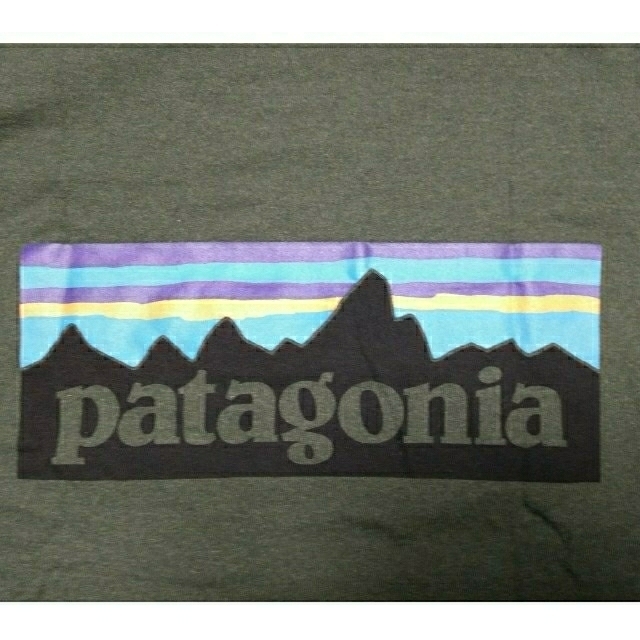 patagonia(パタゴニア)の！新品未使用！　パタゴニア　patagonia　P6　ロングt　ロンt メンズのトップス(Tシャツ/カットソー(七分/長袖))の商品写真