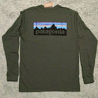 パタゴニア(patagonia)の！新品未使用！　パタゴニア　patagonia　P6　ロングt　ロンt(Tシャツ/カットソー(七分/長袖))