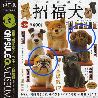 カイヨウドウ(海洋堂)の佐藤邦雄の招福犬  ブルドッグ＋トイプードルセット 未開封(その他)