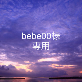 (専用)bebe00様(家庭用ゲームソフト)