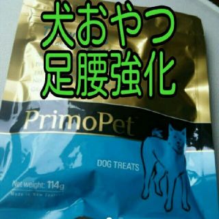 アムウェイ 犬の通販 16点 | Amwayのその他を買うならラクマ