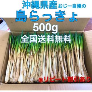 水洗い済み 島らっきょ 500g 送料無料 （初売り）(野菜)