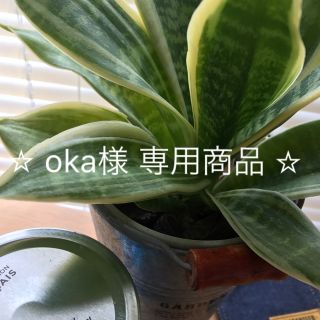 エイチアンドエム(H&M)の☆oka☆様 専用商品(ニット)