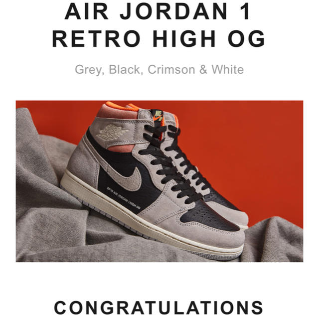 28 NIKE AIR JORDAN 1 RETRO GREY エアジョーダン