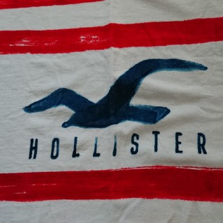 ホリスター タオルの通販 13点 | Hollisterを買うならラクマ