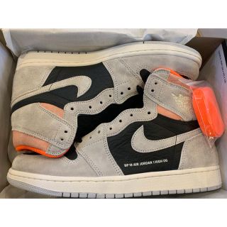 ナイキ(NIKE)のAIR JORDAN 1 NEUTRAL GREY 日本未発売 29cm(スニーカー)