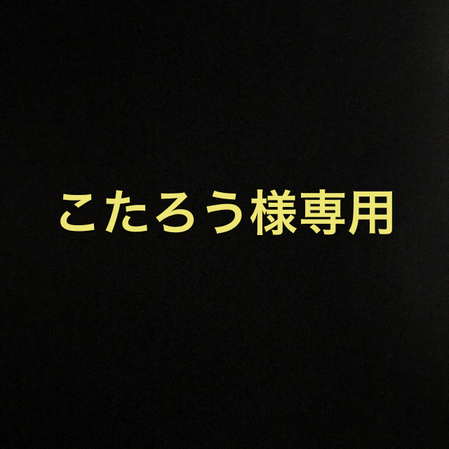 美顔器 セルゲイン (本体のみ)