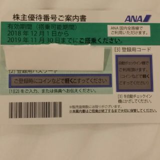 エーエヌエー(ゼンニッポンクウユ)(ANA(全日本空輸))のANA(全日空)の株主優待券(その他)