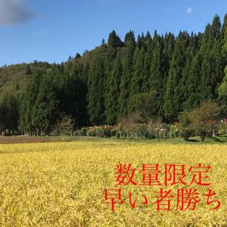 訳あり 秋田県産特別栽培米あきたこまち 白米10kg(米/穀物)