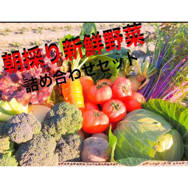 野菜詰め合わせ 新鮮野菜 80サイズ 食品/飲料/酒の食品(野菜)の商品写真