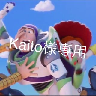 Kaitoさま専用(キャップ)