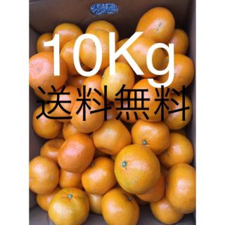 和歌山県 傷あり 訳ありみかん約10kg(フルーツ)