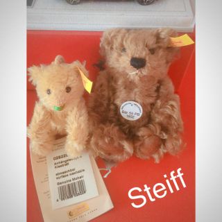 ハロッズ(Harrods)のシュタイフ Steiff テディベア 2匹セット(ぬいぐるみ)