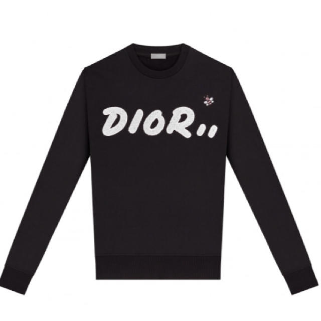 Dior - Mサイズ dior kimjones kaws 日本限定カラー