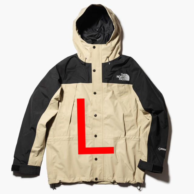 THE NORTH FACE MOUNTAIN LIGHT JACKET