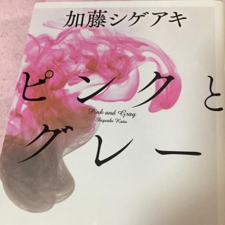 ニュース(NEWS)のピンクとグレー(文学/小説)