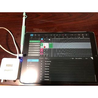 アップル(Apple)のiPad Pro10.5 Apple pencil Plugkey DTMセット(タブレット)