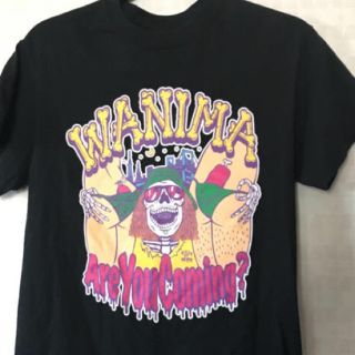 ワニマ(WANIMA)の【美品 Are You Coming?ツアー限定】WANIMA Tシャツ(ミュージシャン)