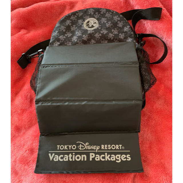 Disney(ディズニー)のディズニー バケーションパッケージ バック レディースのバッグ(リュック/バックパック)の商品写真