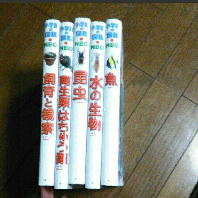 小学館の図鑑ネオ五冊セット