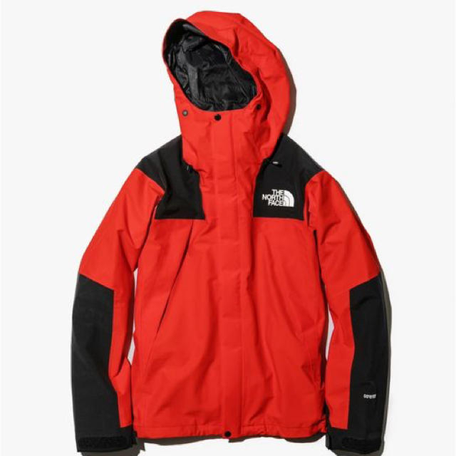 THE NORTH FACE マウンテンジャケット FR Lサイズ