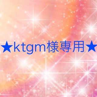 ワコール(Wacoal)のktgm様専用(その他)